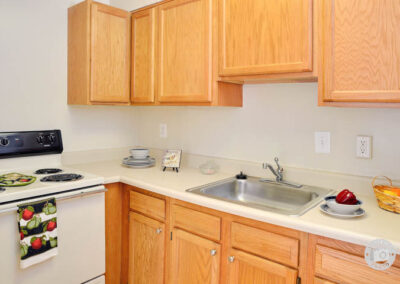 Luxurious Kitchen Design